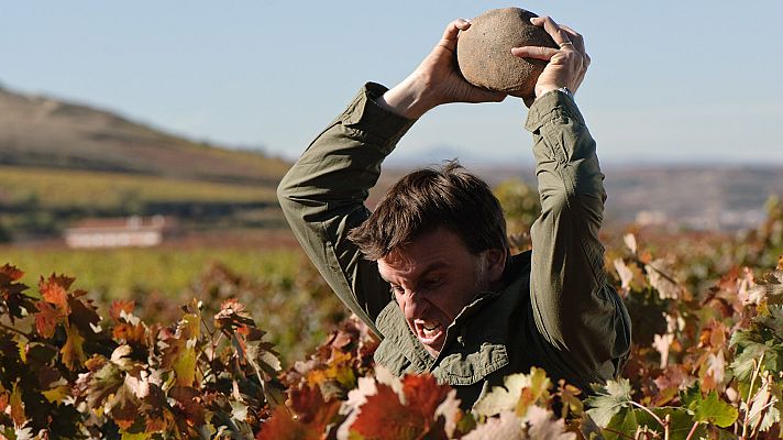 Gran Reserva - La vendimia