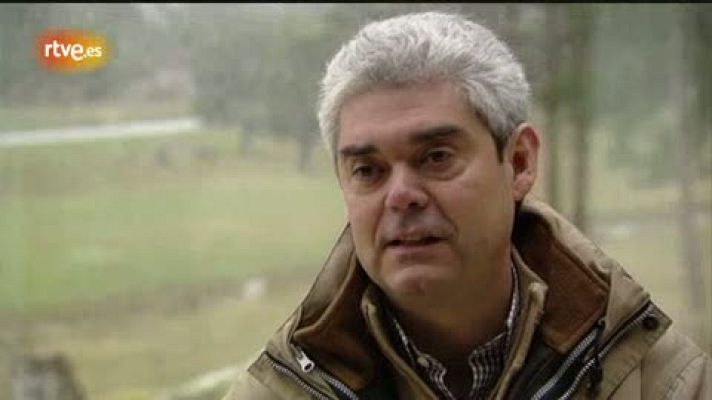 Crónicas - Urbión. El bosque transitado