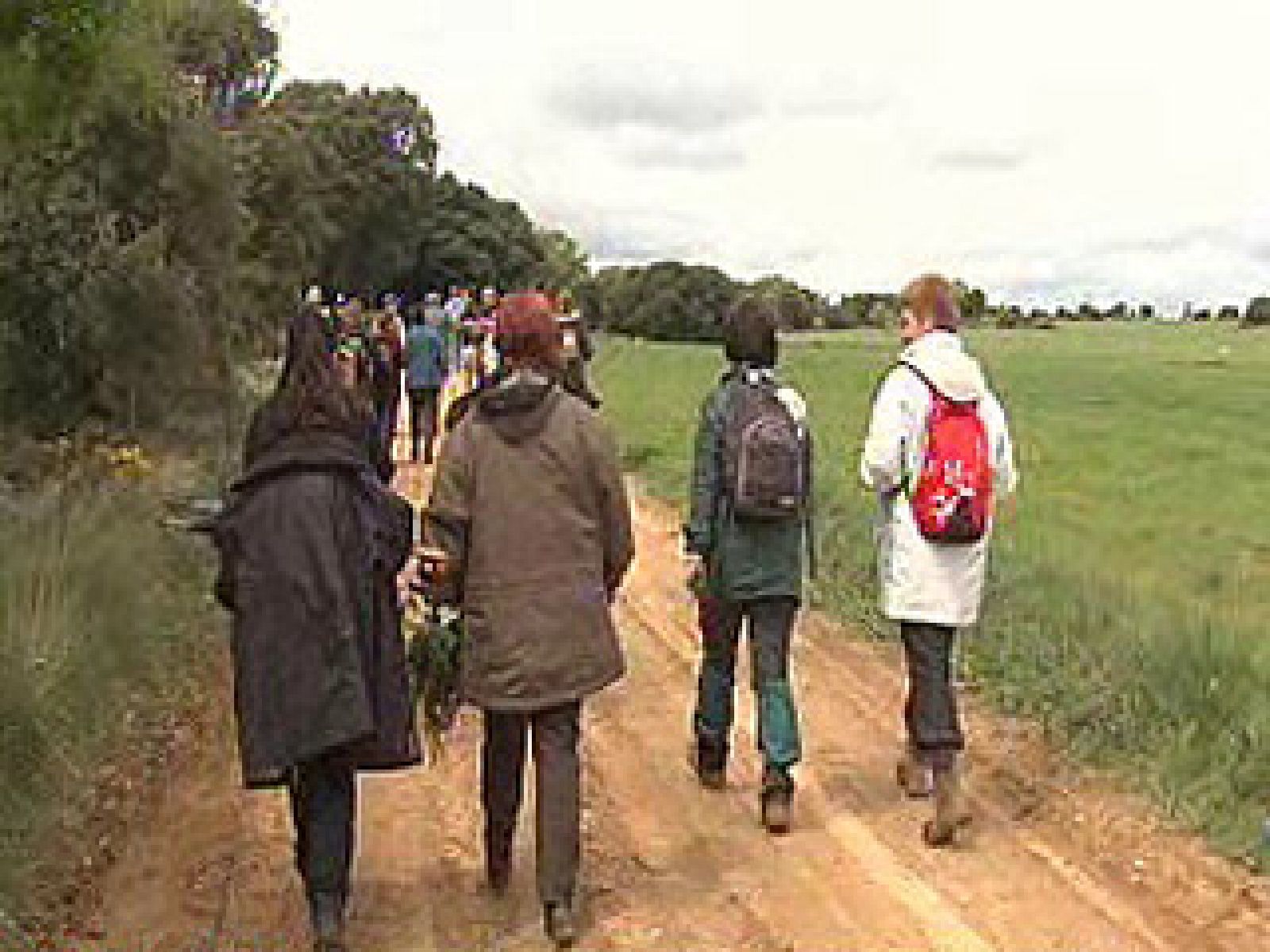 España Directo - La marcha de las flores