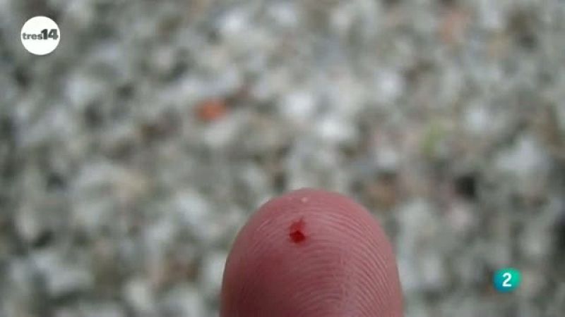 tres14 - curiosidades - la edad en una gota de sangre