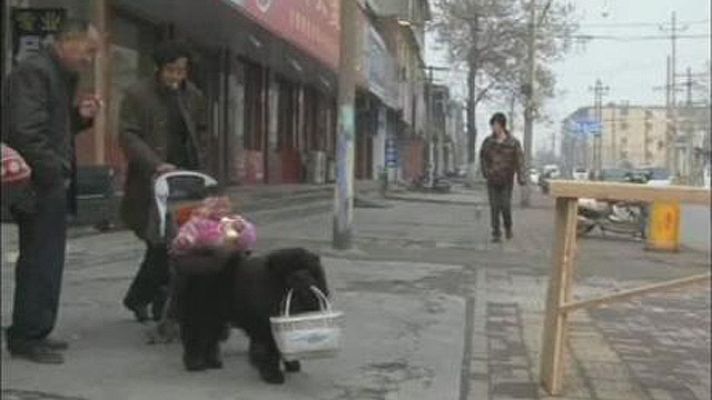 On Off - ¡Cómo está el servicio!