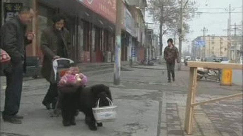 On Off: ¡Cómo está el servicio! - On Off | Ver