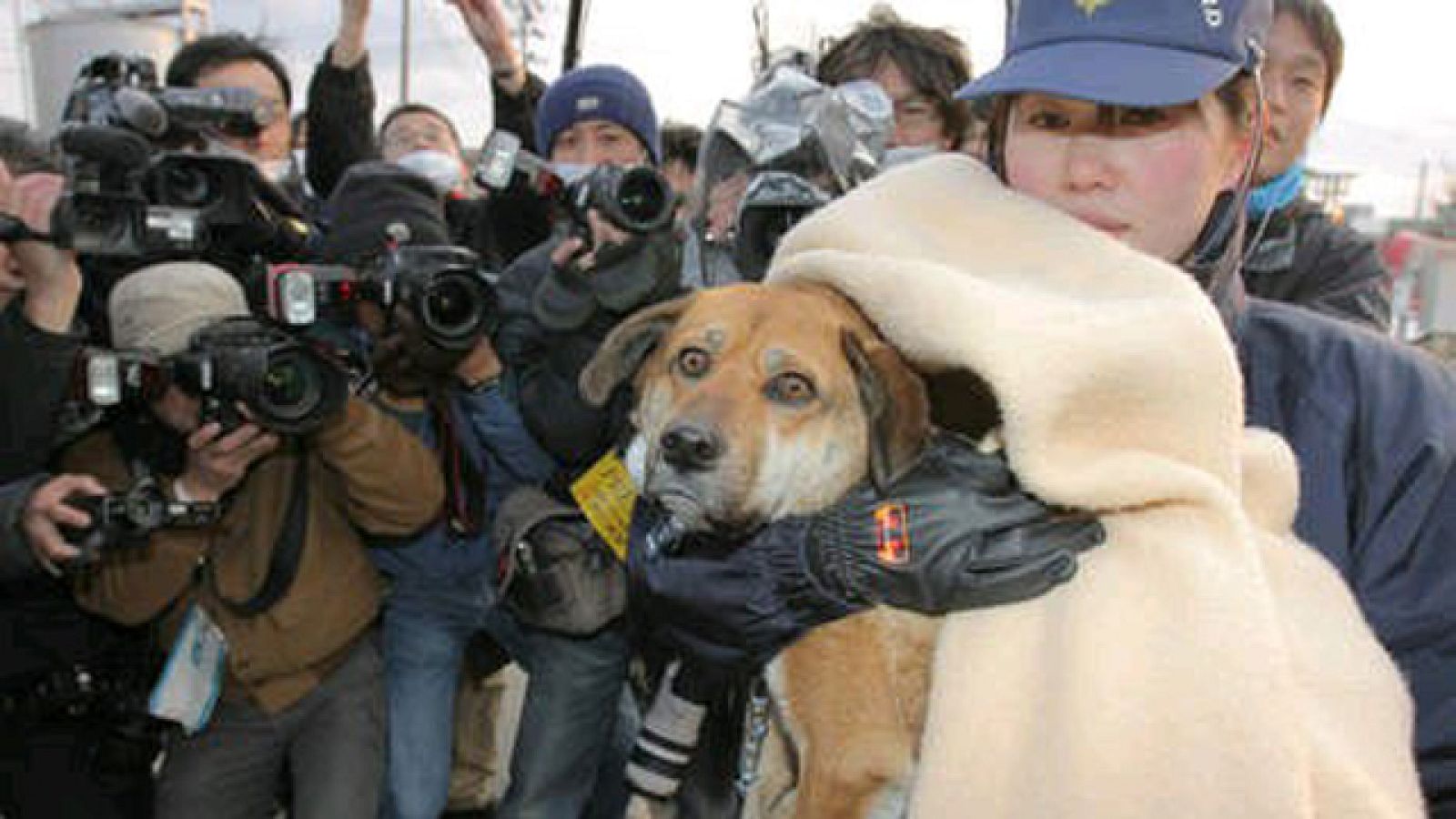 On Off: 21 días a la deriva - On Off | Ver