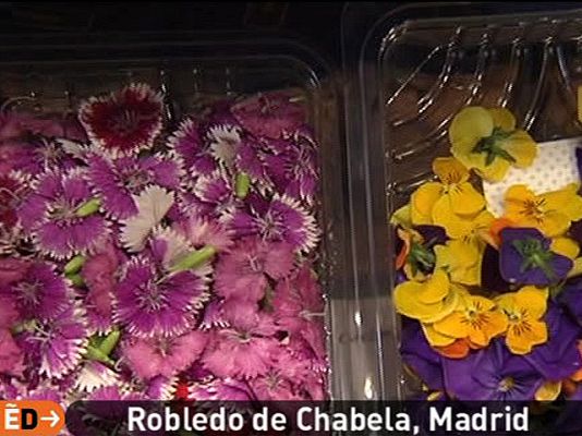 España Directo - Cocinar con flores