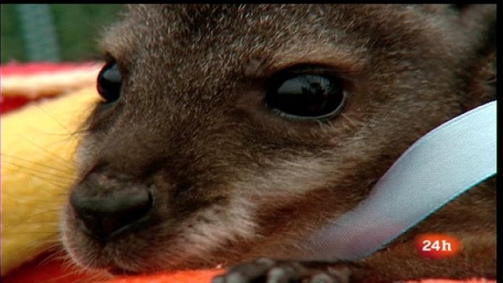 España en 24h - España en 24 horas - 05/05/11