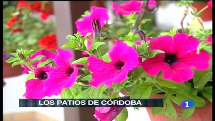 Telediario 1 - Telediario - 21 horas - 05/05/11