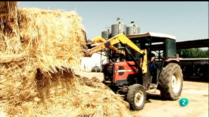 Aquí hay trabajo - Aquí hay trabajo - 06/05/11
