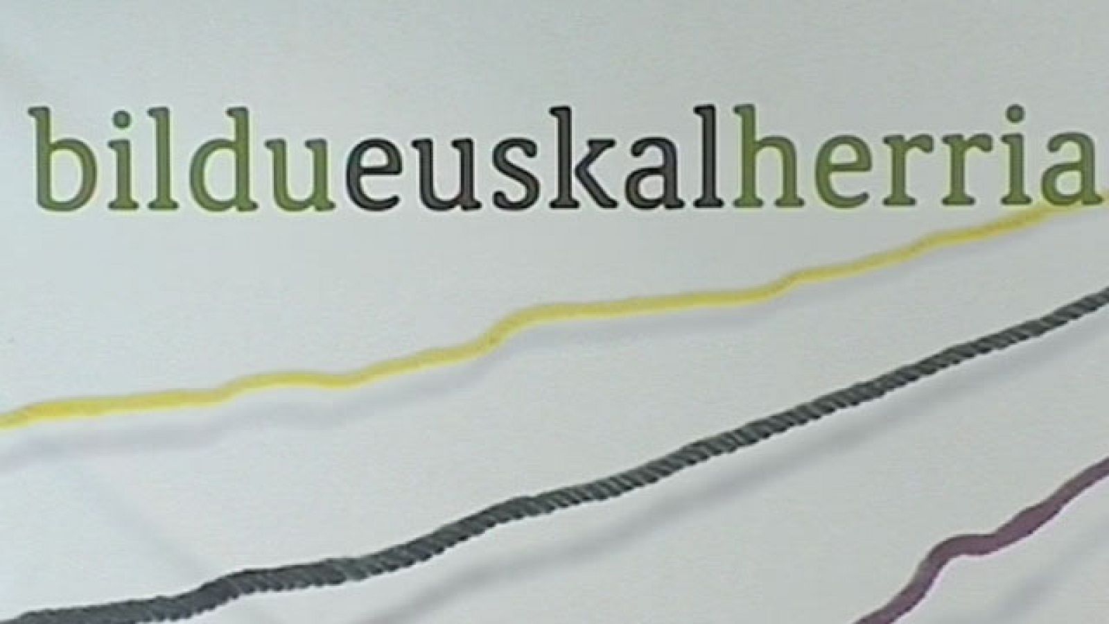 El Constitucional considera que se ha vulnerado el derecho de Bildu a acceder a los cargos públicos