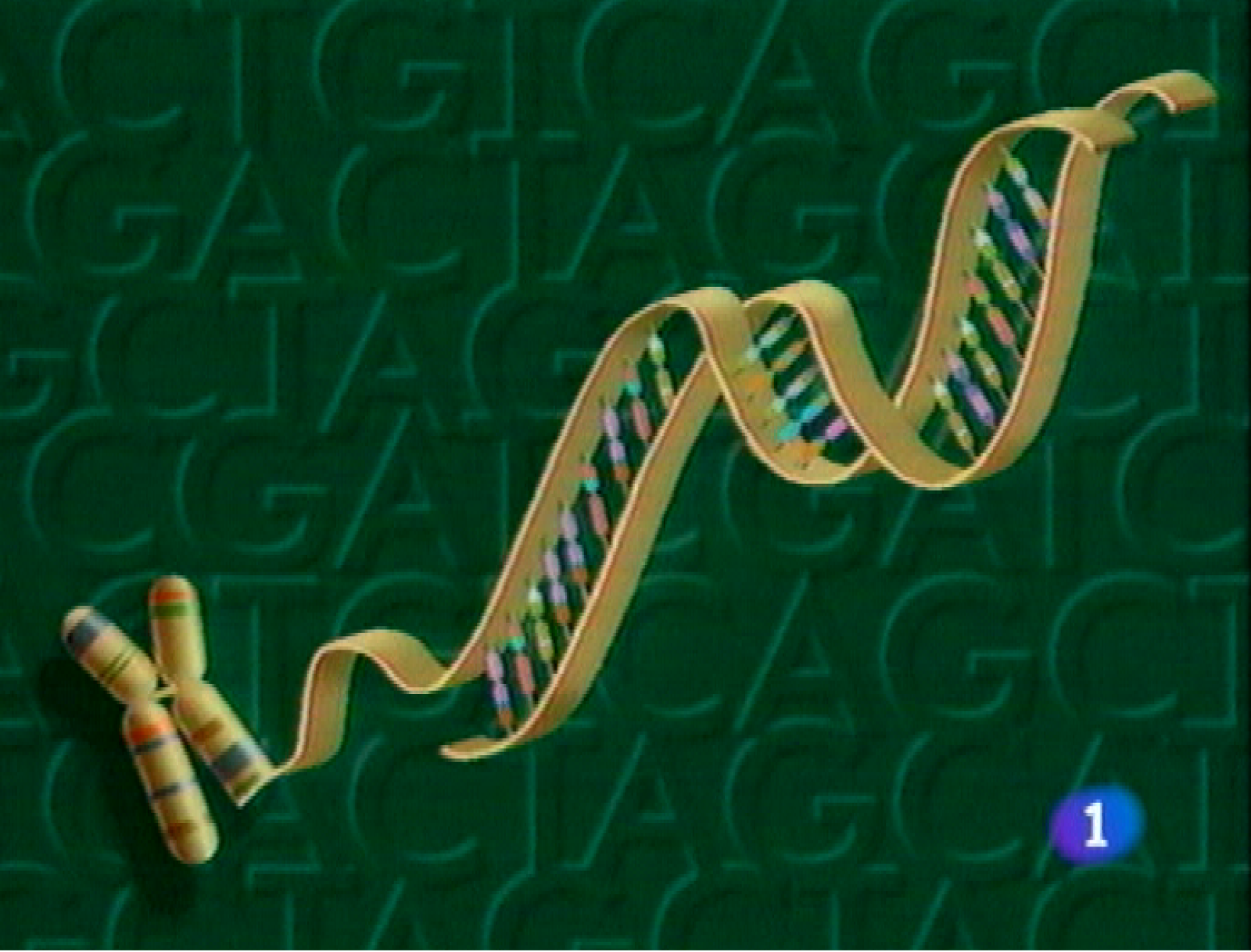 Panorama Regional - 06/05/11 | Ver