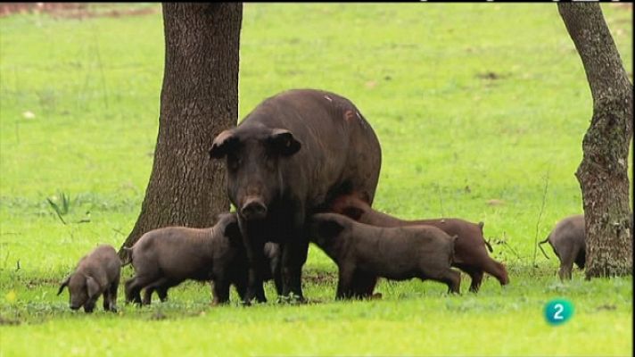 Biodiario - Biodiario - 06/05/11