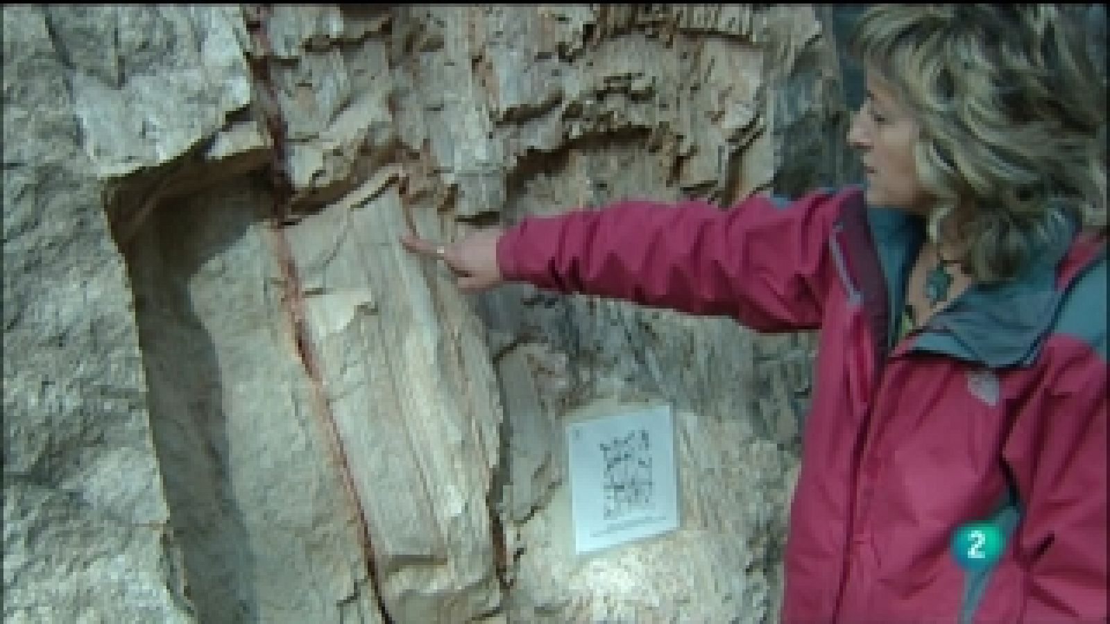 La aventura del saber - 09/05/11 - Ver ahora