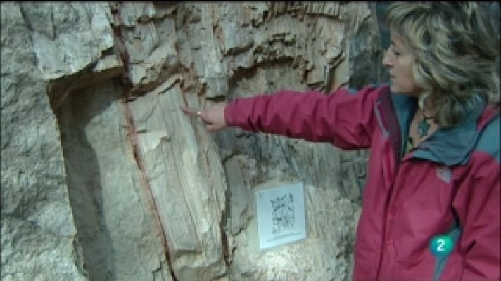 La aventura del Saber - La aventura del saber - 09/05/11