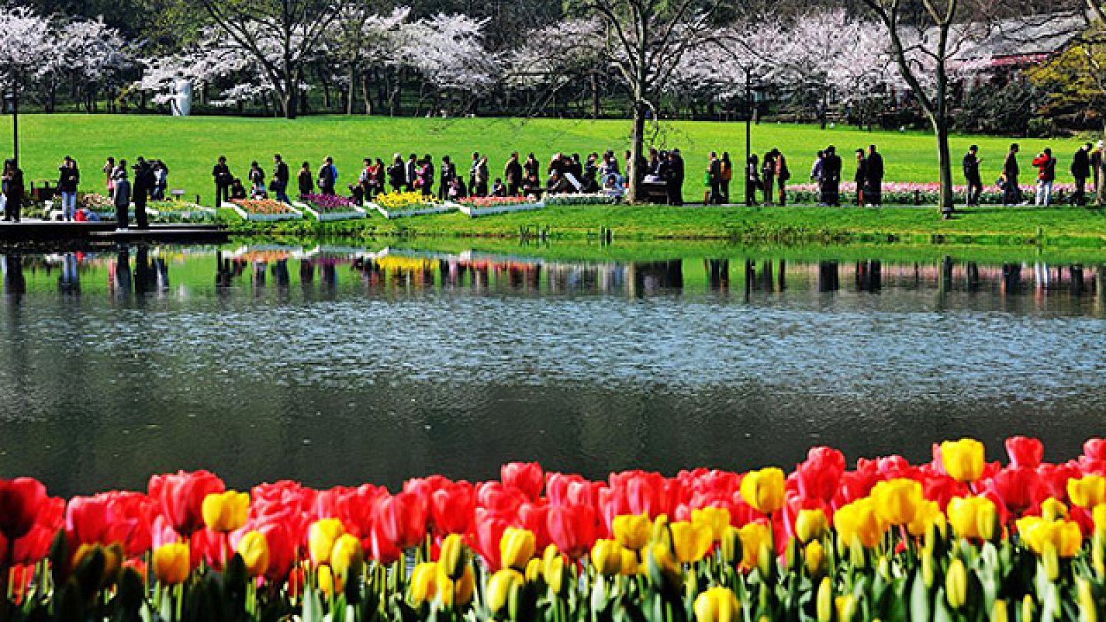 On Off: Estallido de colores - On Off | Ver