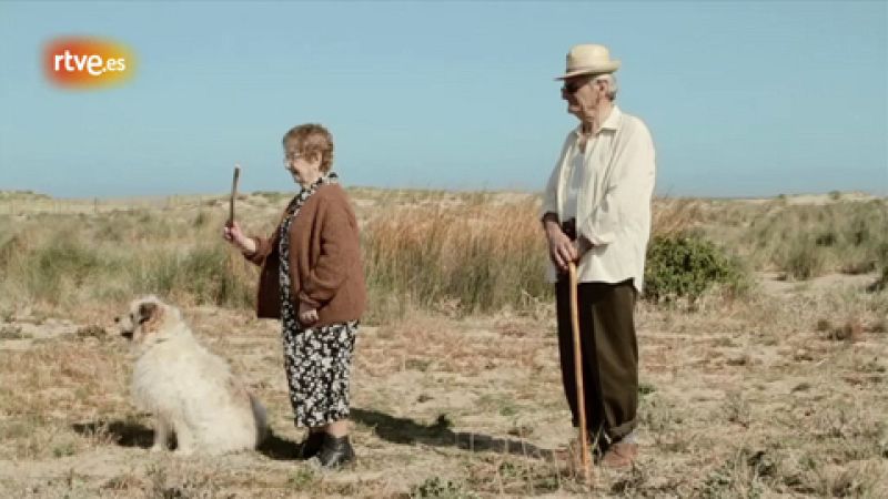 Wild Honey - 1918-1920 | Ver