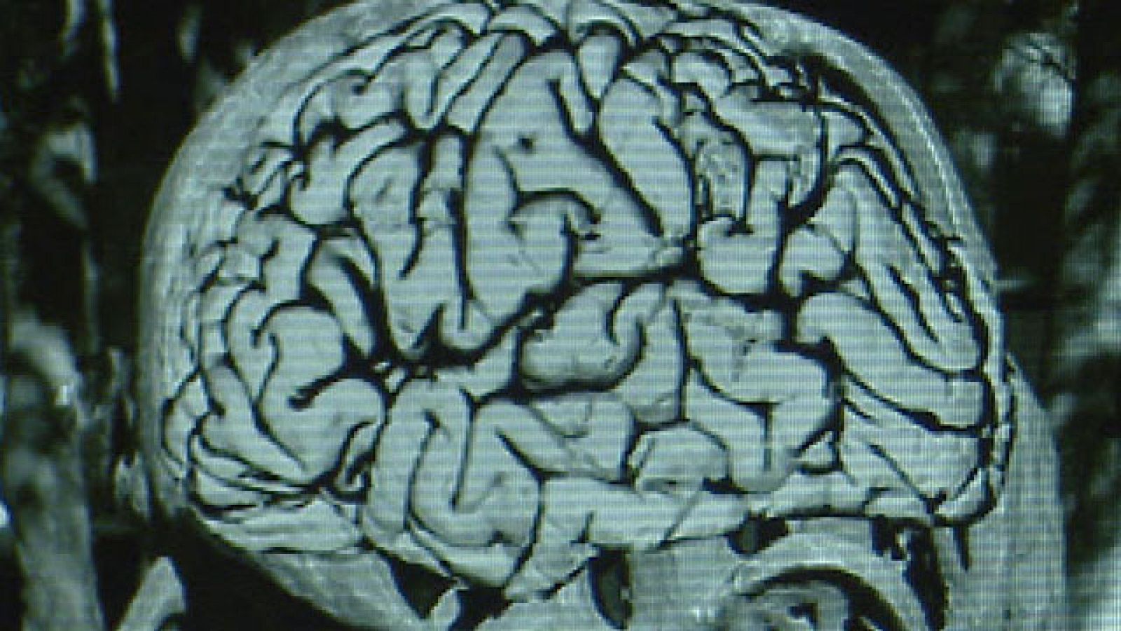 Howard Gardner es el nuevo premio Príncipe de Asturias de Ciencias Sociales