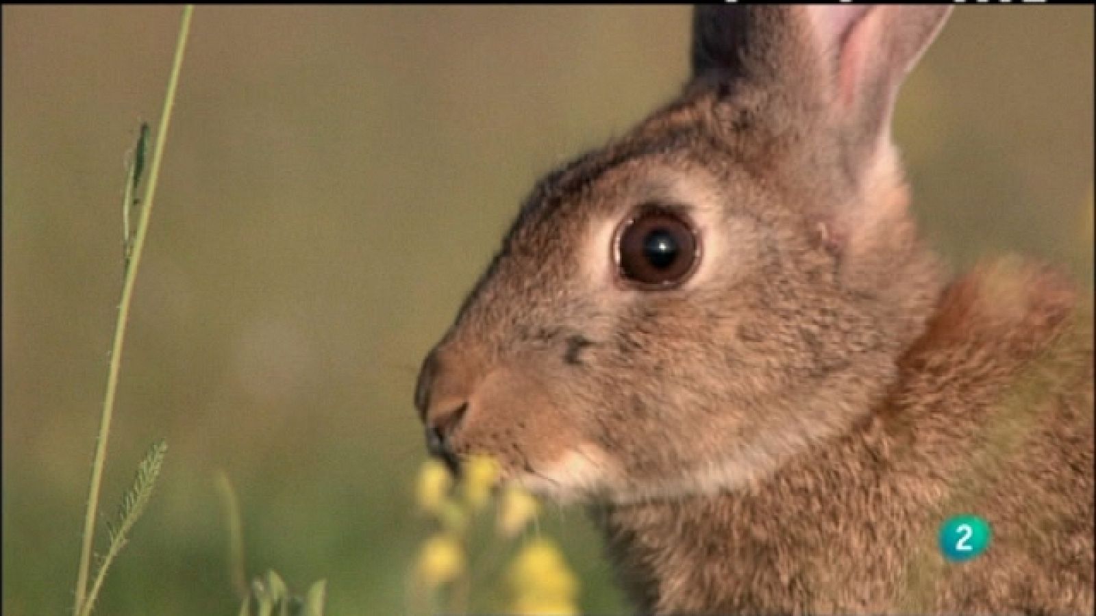 Biodiario - 12/05/11 - Ver ahora
