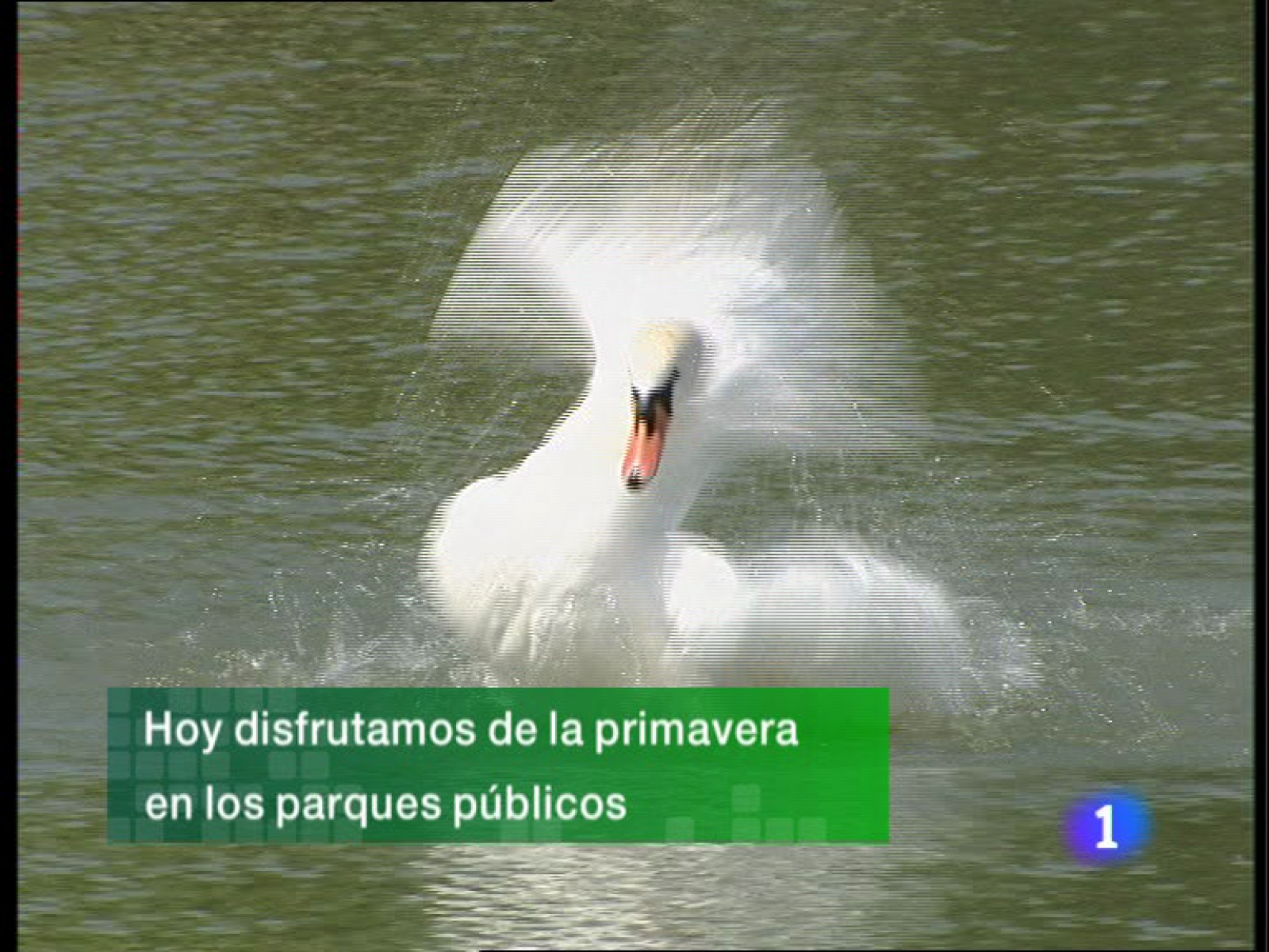 Informativo Telerioja - 13/05/11 | Ver