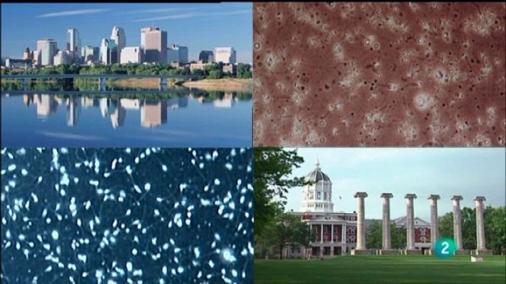 La noche temática - Hombres en peligro