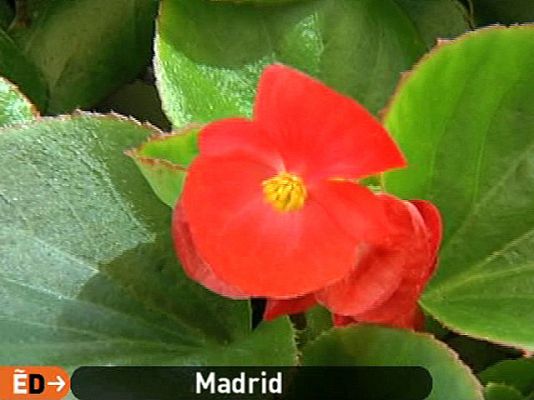 España Directo - Jardines en apogeo