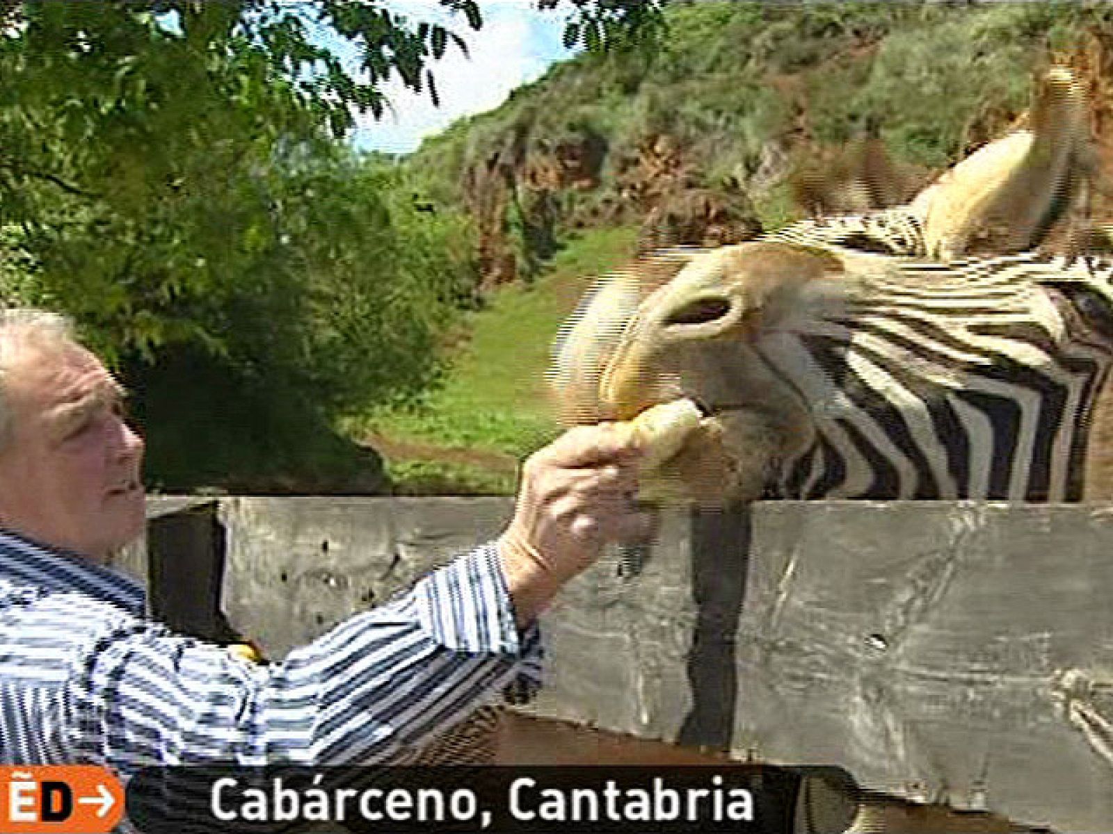 España Directo - De safari en Cabárceno
