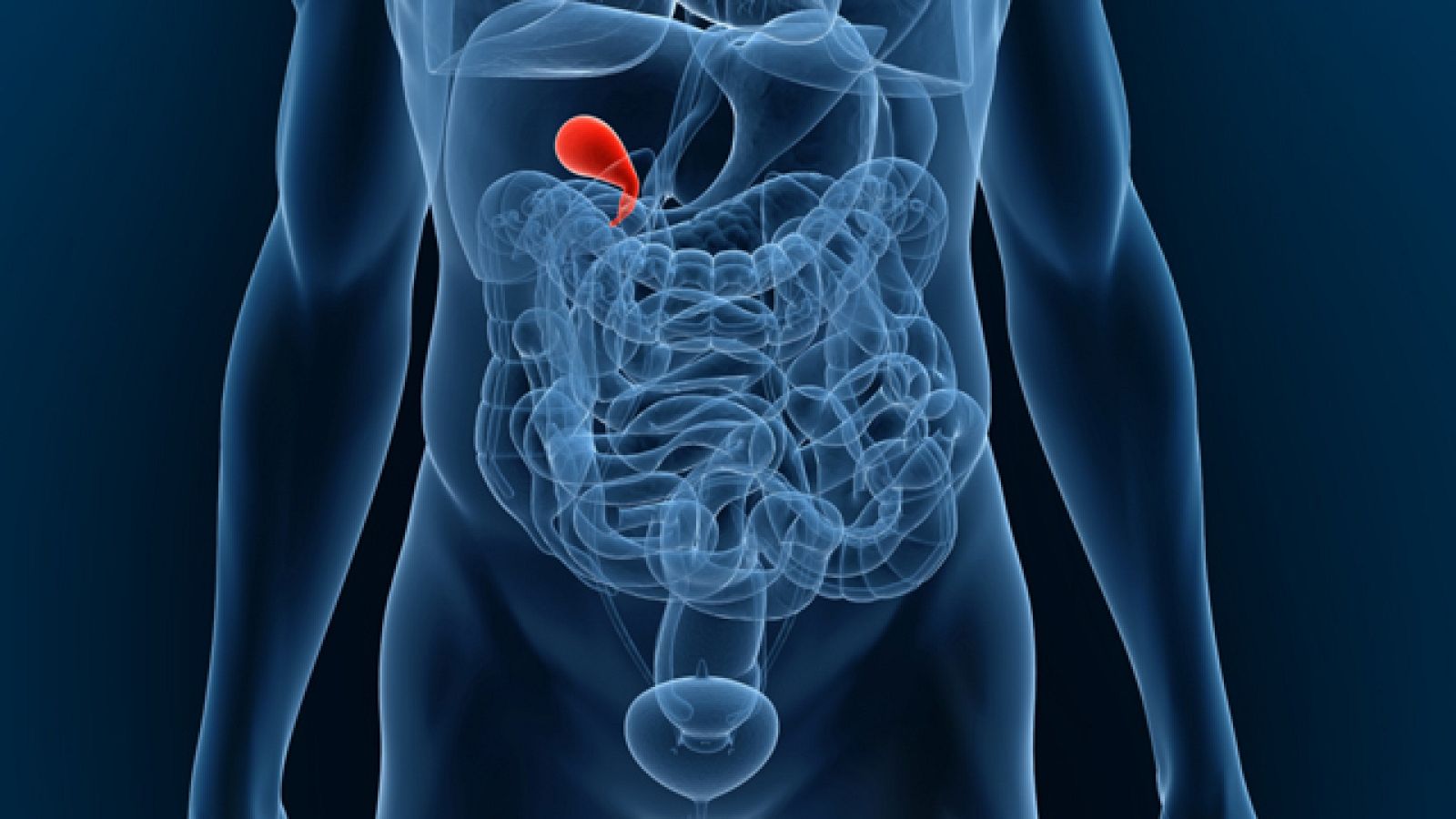 Saber vivir - Problemas de vesícula - 16/05/11