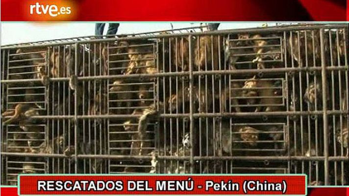 On Off - Rescatados del menú