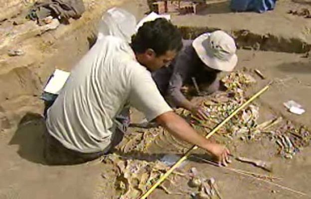 Ciencia y tecnología en Rtve.es - Encuentran el fósil de un tapir