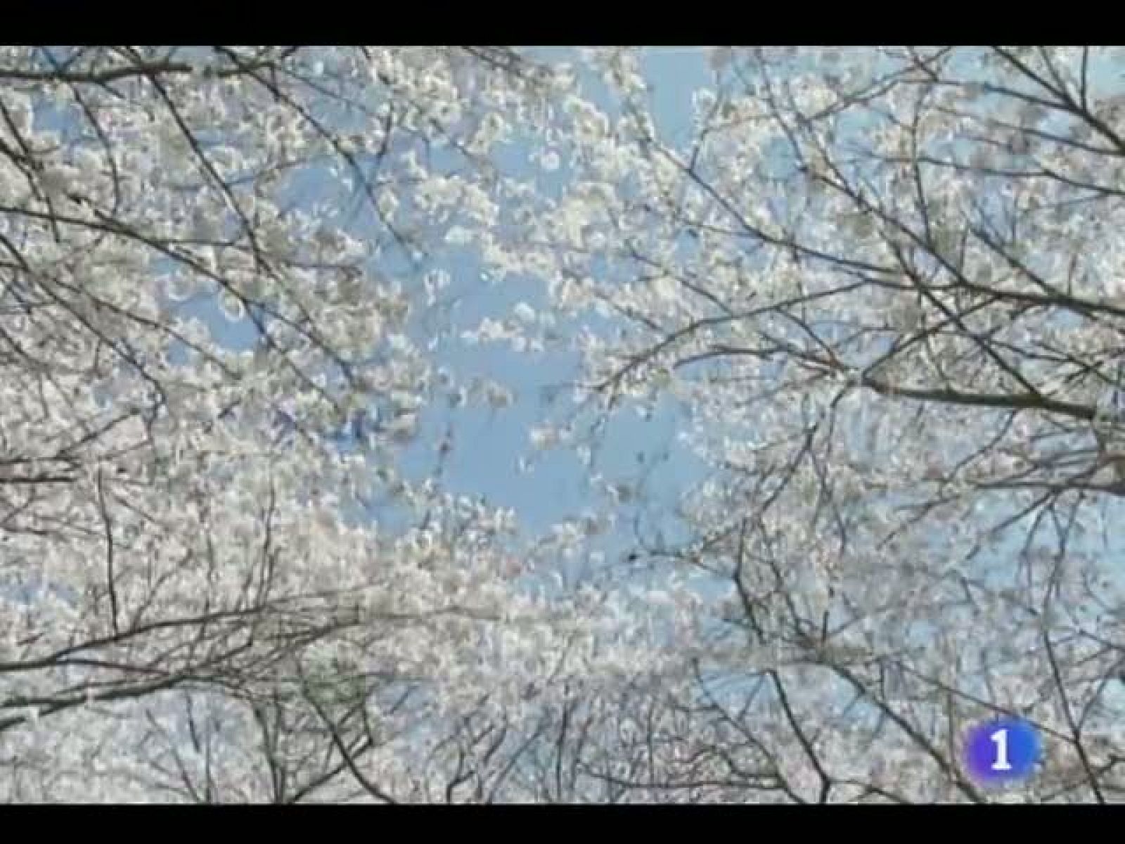 El tiempo en Castilla y León - 17/05/11