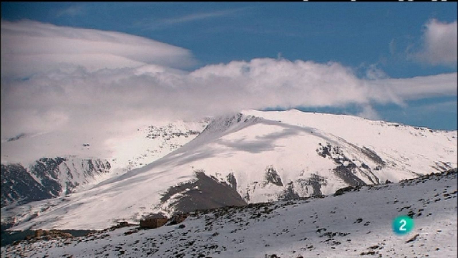 Biodiario - 17/05/11 - Ver ahora