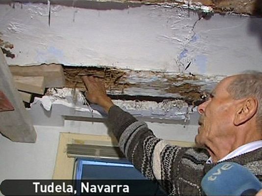 España Directo - Devorados por las termitas