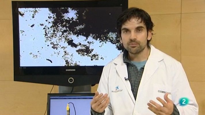 La aventura del Saber - La aventura del saber - 18/05/11