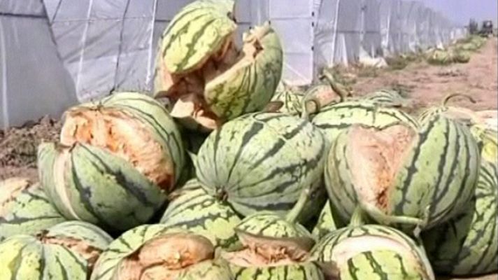 Telediario 1 - Sandías explosivas