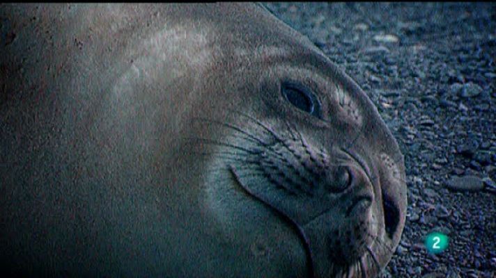 Universo UNED - UNED - 20/05/11