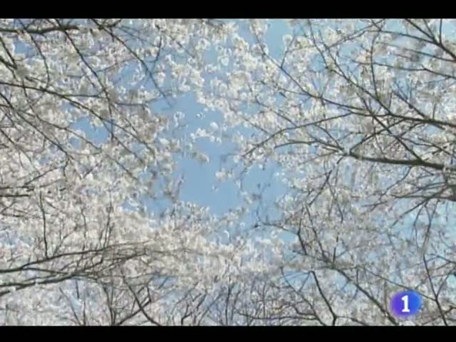 El tiempo en Castilla y León - 20/05/11