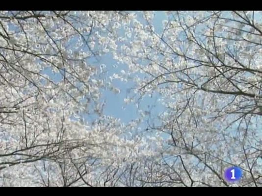 Noticias de Castilla y León - El tiempo en Castilla y León - 20/05/11