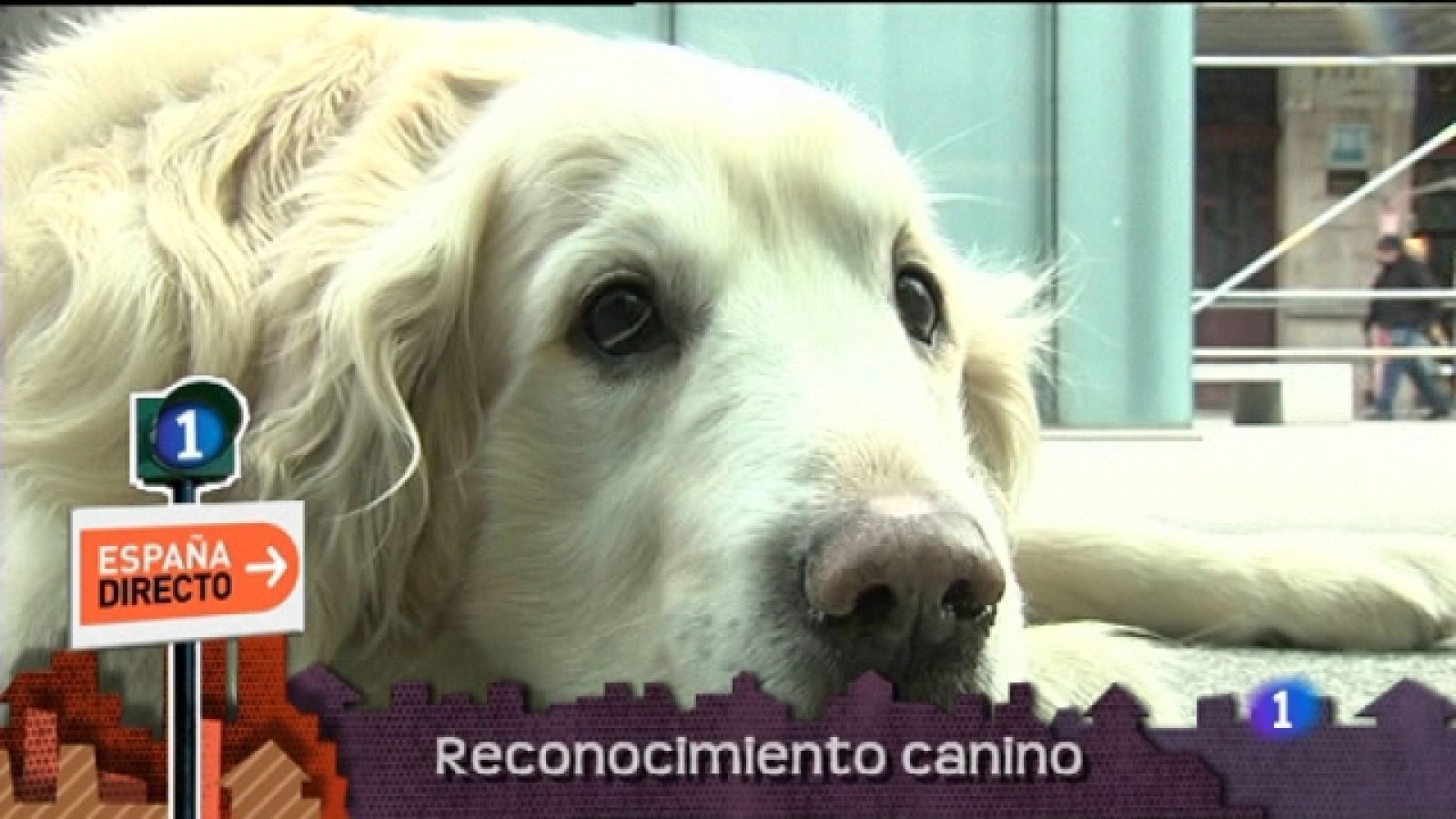 Lo que hay que ver - 21/05/11 - Ver ahora