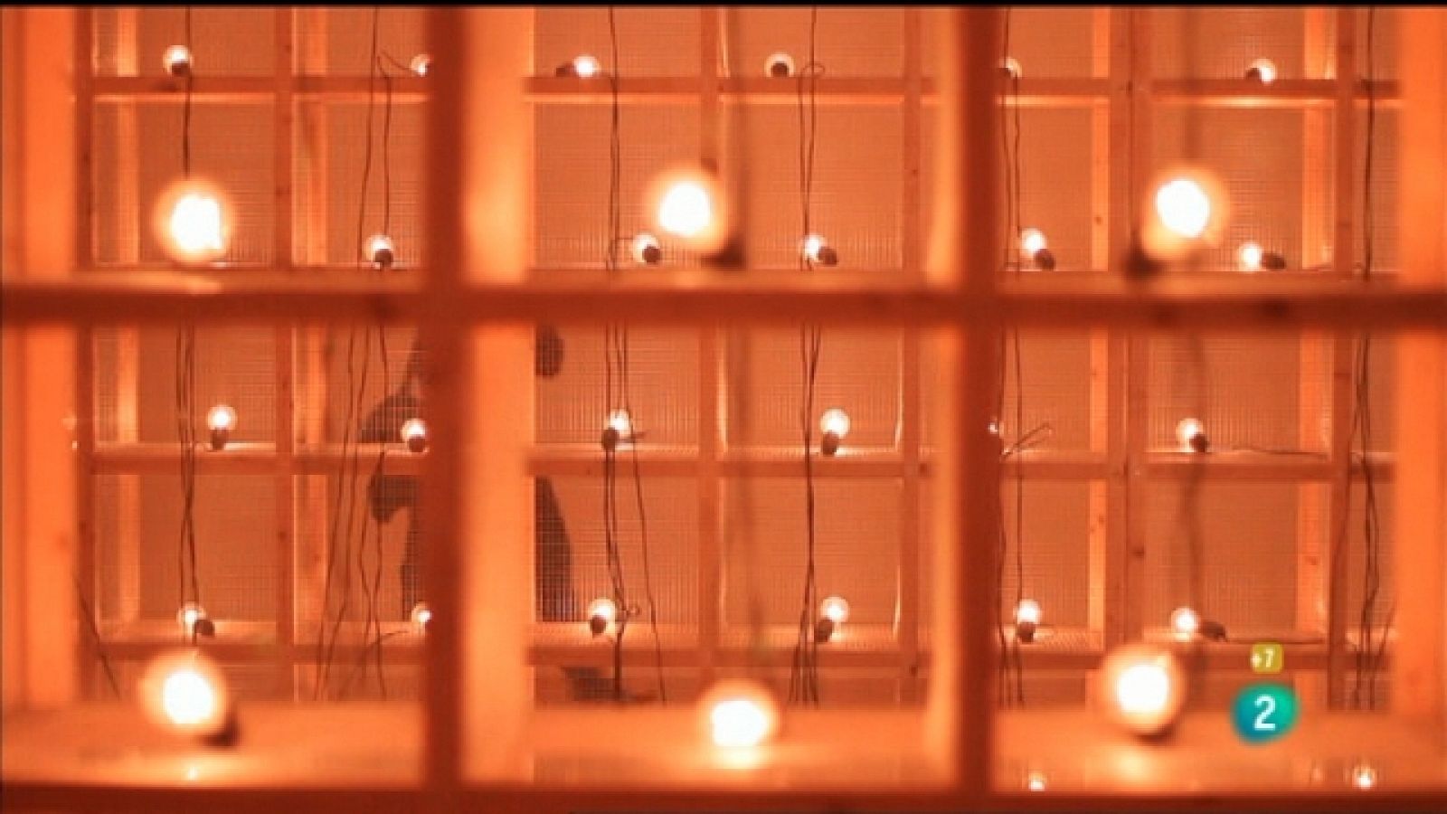 Guggenheim - El intervalo luminoso - Ver ahora