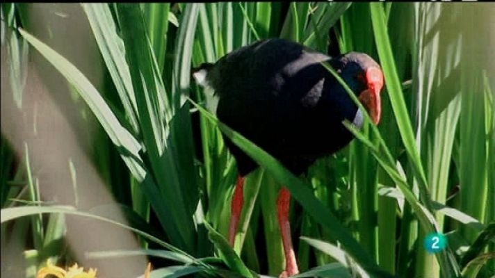 Biodiario - Biodiario - 22/05/11
