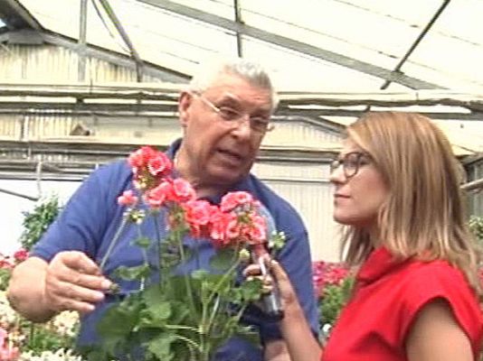 España Directo - Consejos del Padre Mundina