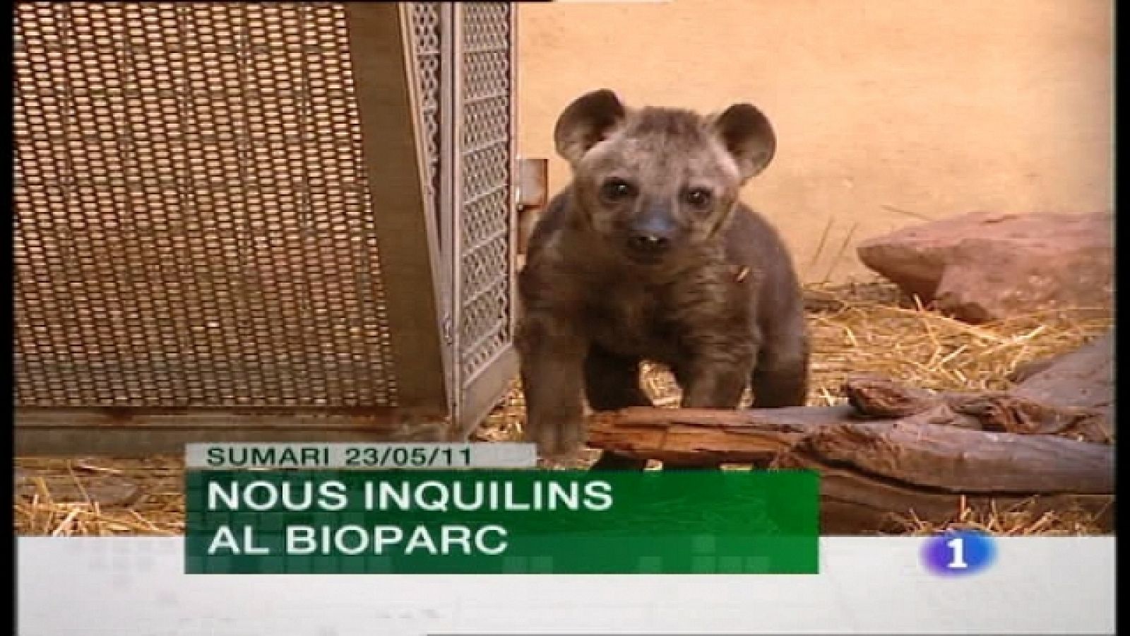 La Comunidad Valenciana en 2' - 23/05/11 - Ver ahora