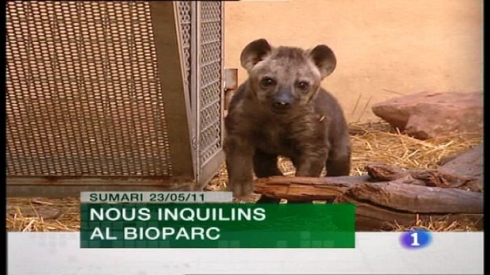 L'informatiu - Comunitat Valenciana - La C.Valenciana en 2' - 23/05/11