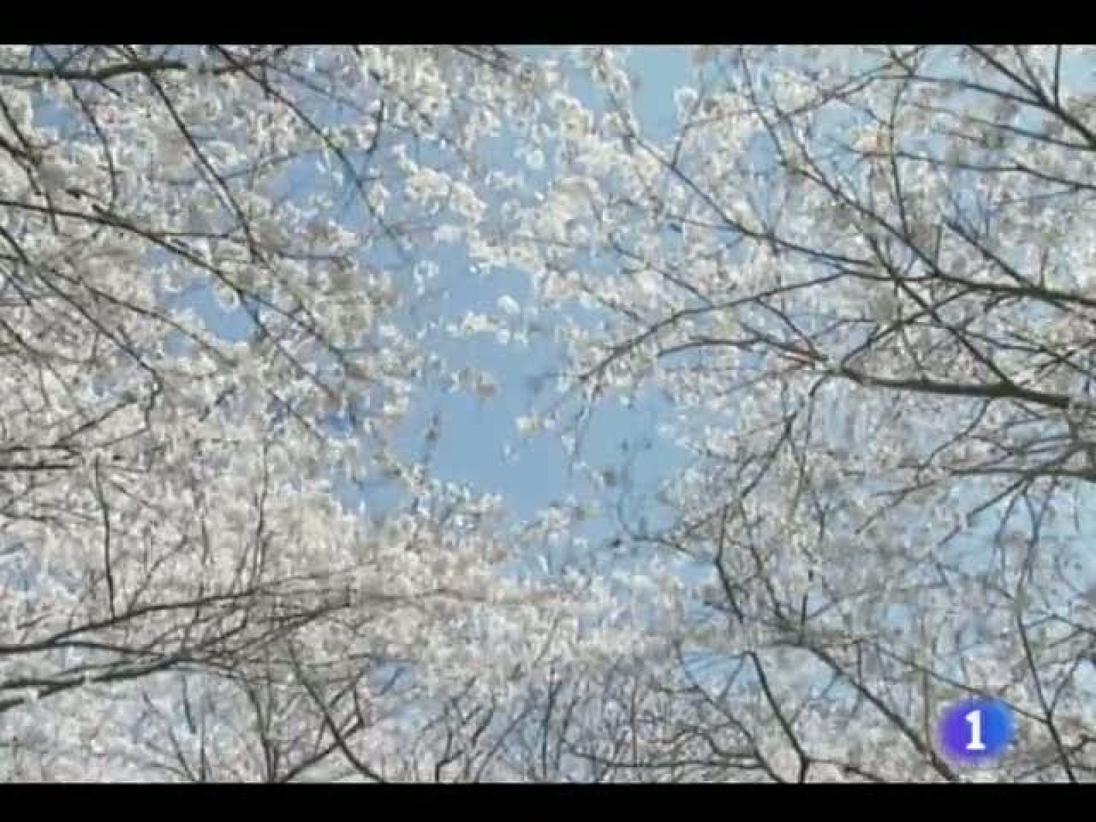 El tiempo en Castilla y León - 23/05/11