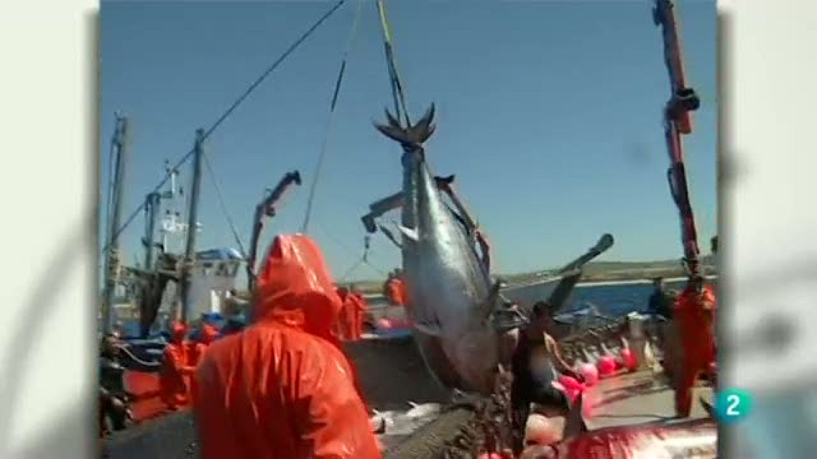 Para Todos La 2 - El atún