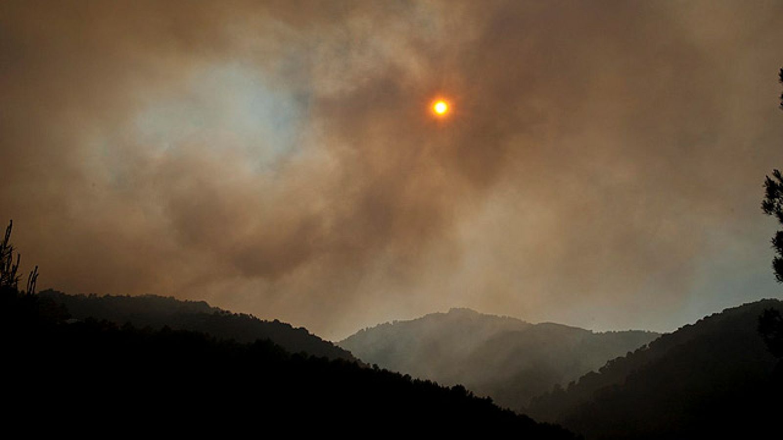 Se declara un incendio de "cientos de hectáreas" en Ibiza que obliga a desalojar a nueve familias