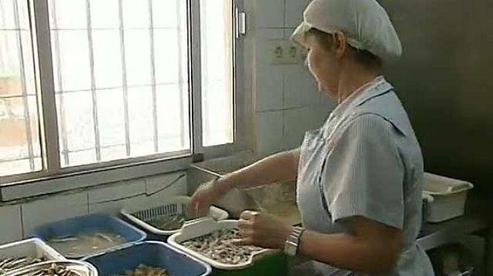 Telediario 1 - Plan contra el empleo sumergido