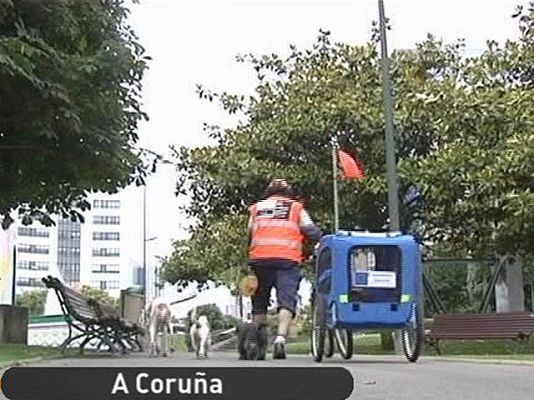 España Directo - El paseador de perros