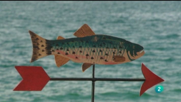 El escarabajo verde - Las espinas del salmón