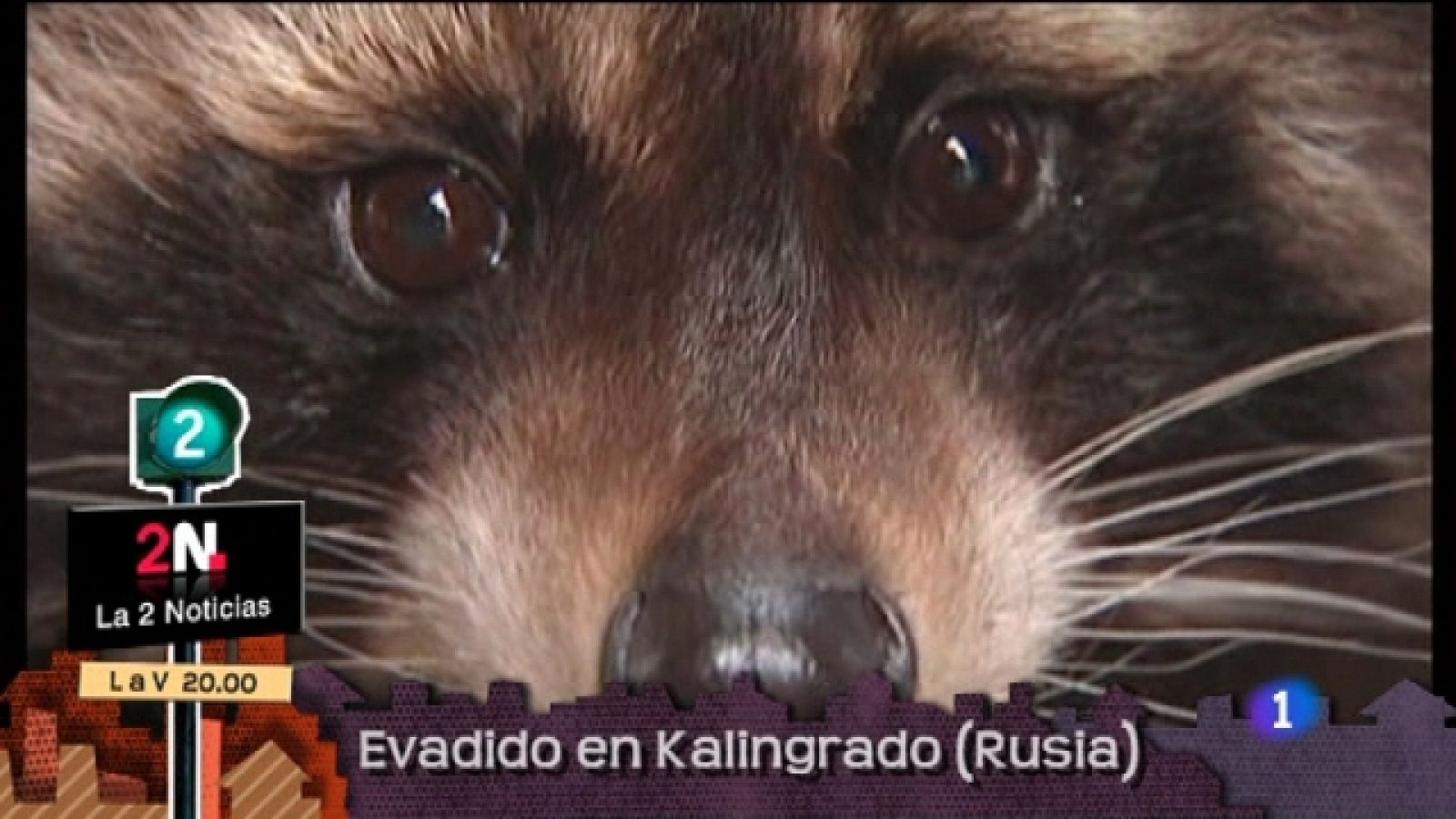 Lo que hay que ver - 28/05/11 - Ver ahora