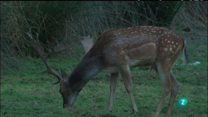 Biodiario - Biodiario - 29/05/11
