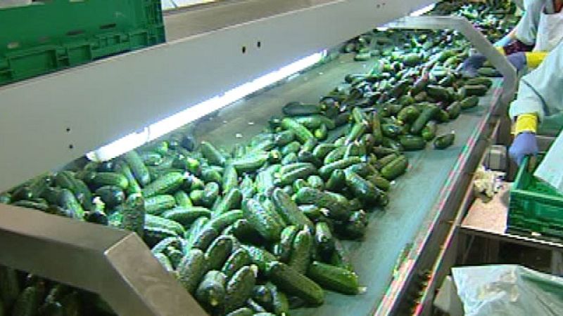 Malestar entre los agricultores españoles por la retirada de pepinos españoles en los mercados europeos